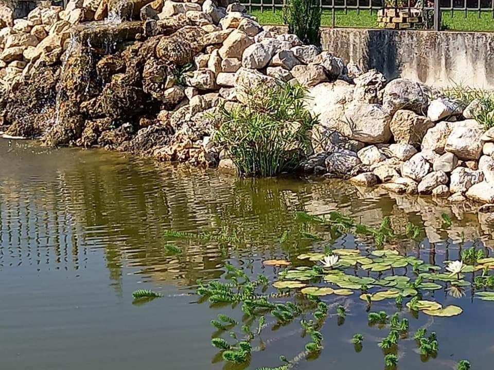 Villa Lucilla Altavilla Silentina Екстериор снимка