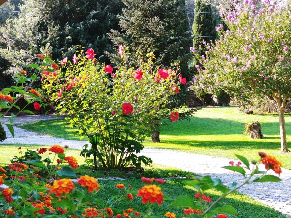 Villa Lucilla Altavilla Silentina Екстериор снимка