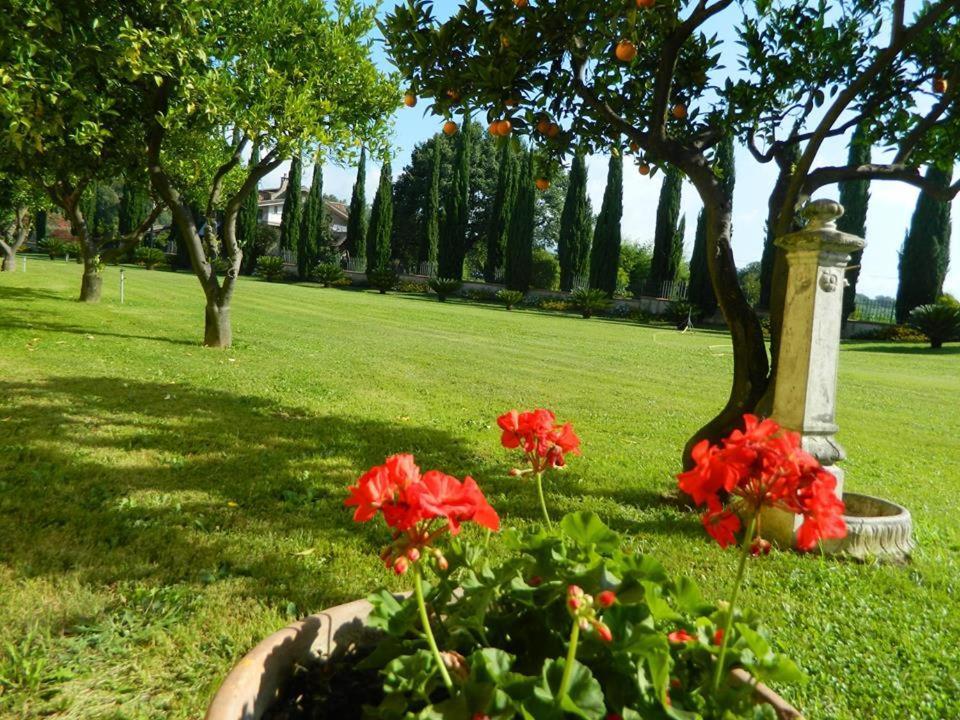 Villa Lucilla Altavilla Silentina Екстериор снимка