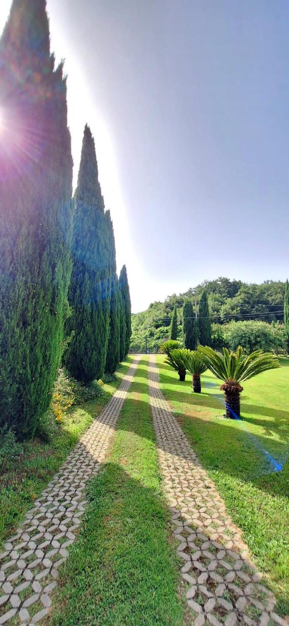 Villa Lucilla Altavilla Silentina Екстериор снимка