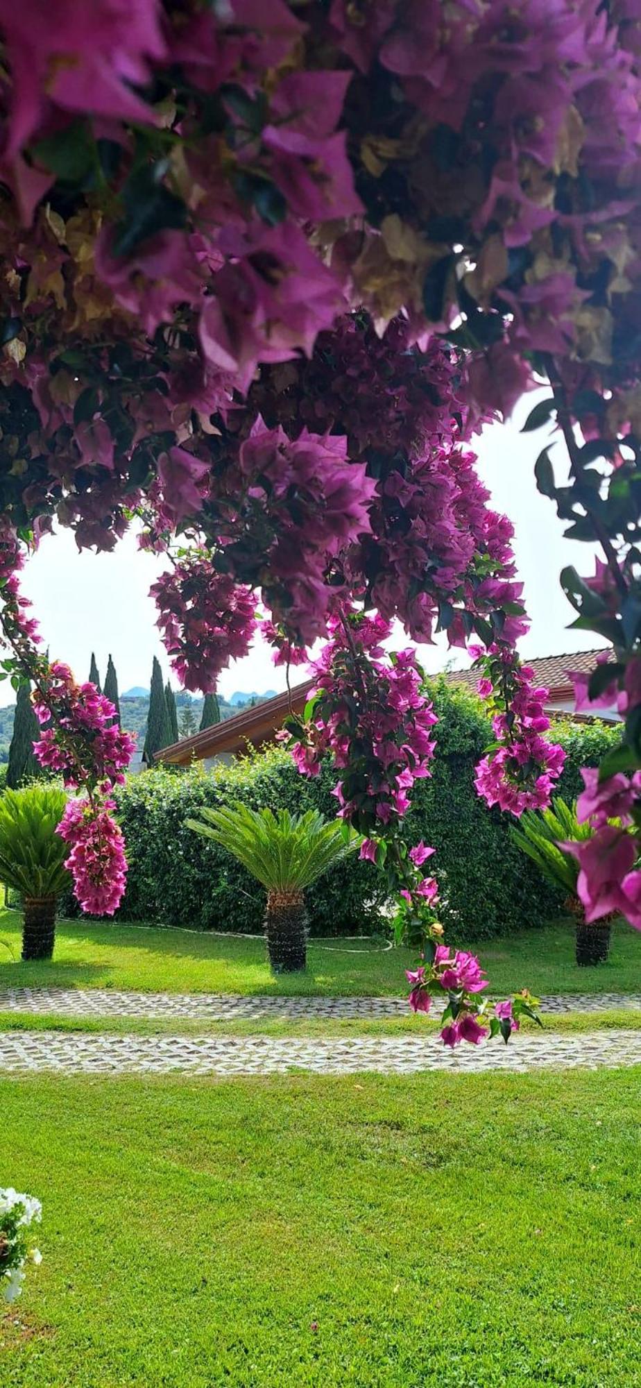 Villa Lucilla Altavilla Silentina Екстериор снимка