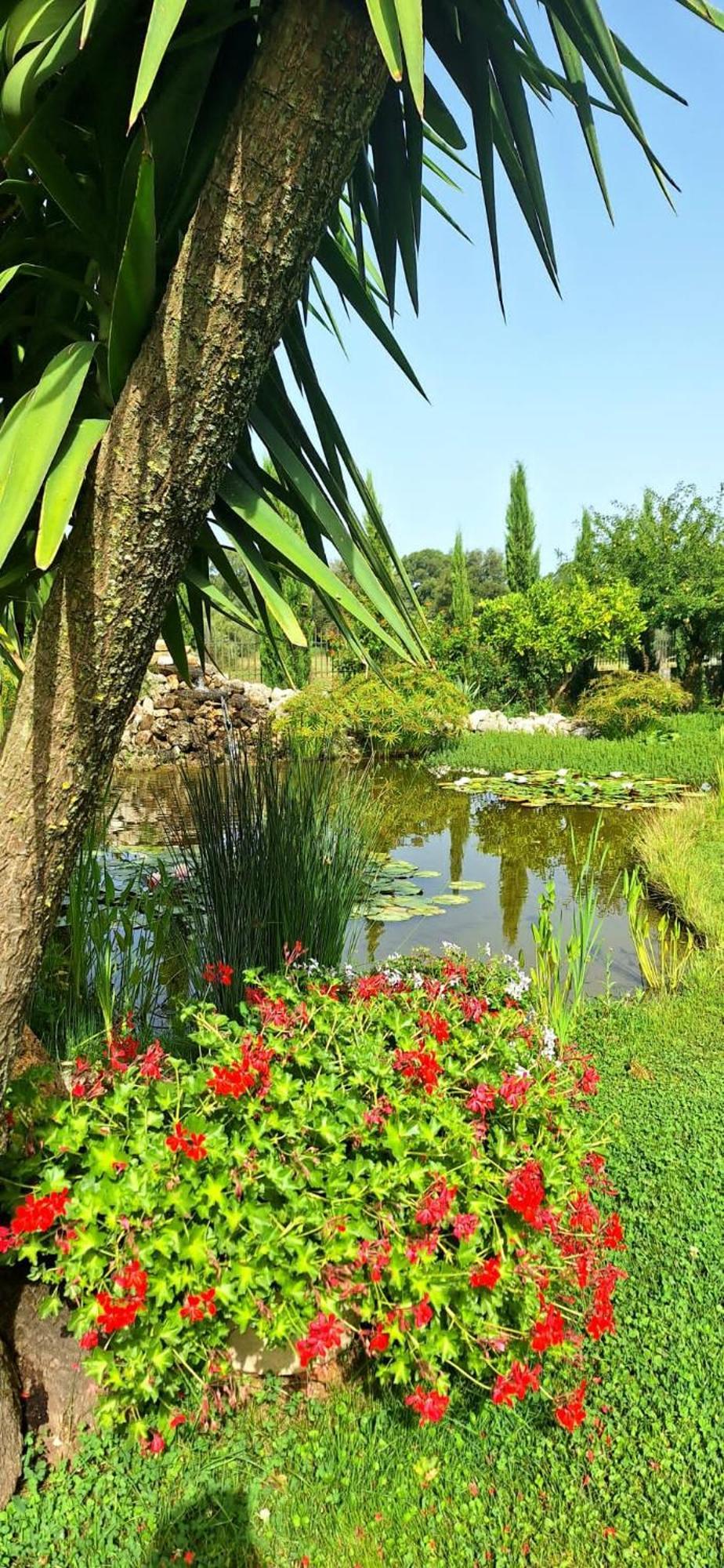 Villa Lucilla Altavilla Silentina Екстериор снимка