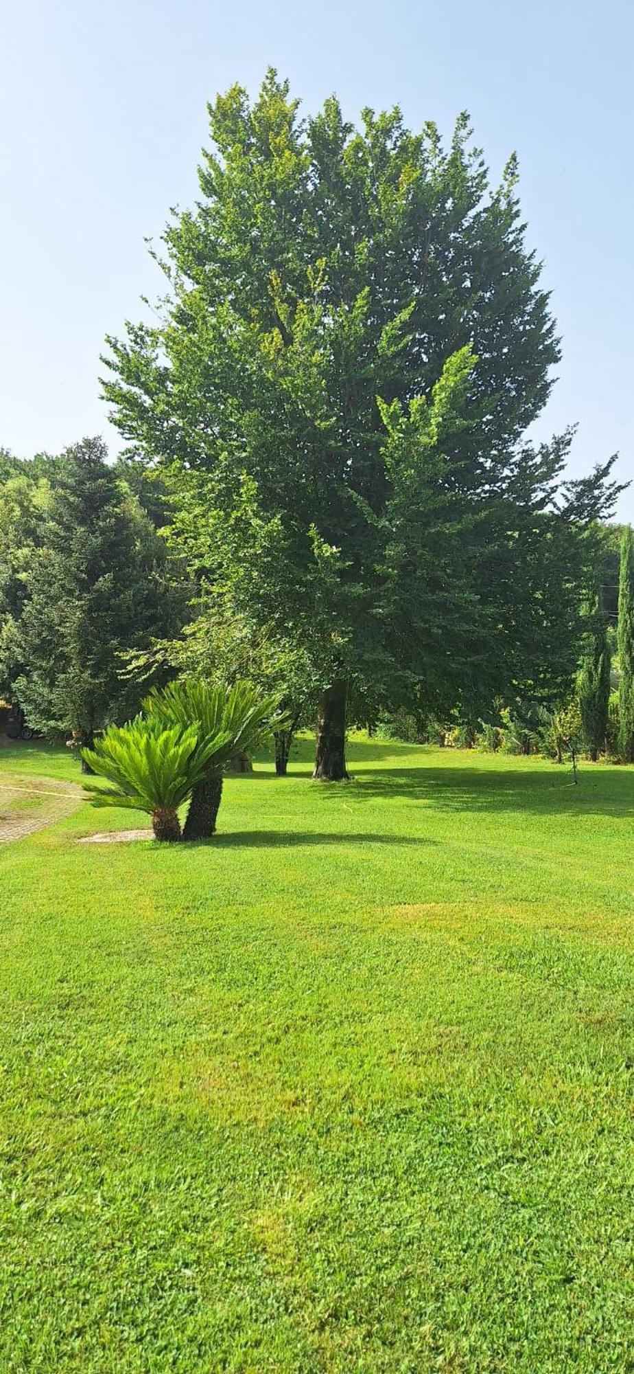 Villa Lucilla Altavilla Silentina Екстериор снимка