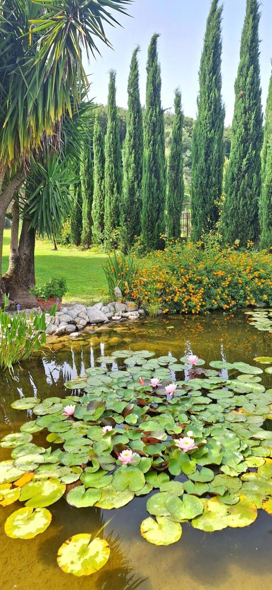 Villa Lucilla Altavilla Silentina Екстериор снимка